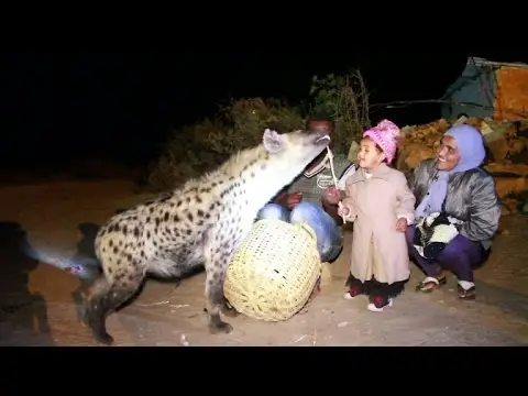 hayna feedin in harar